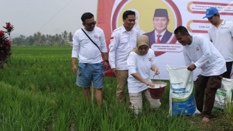 Program Pemberian Pupuk Gratis untuk Dukung Pertanian di Kabupaten Sukabumi
