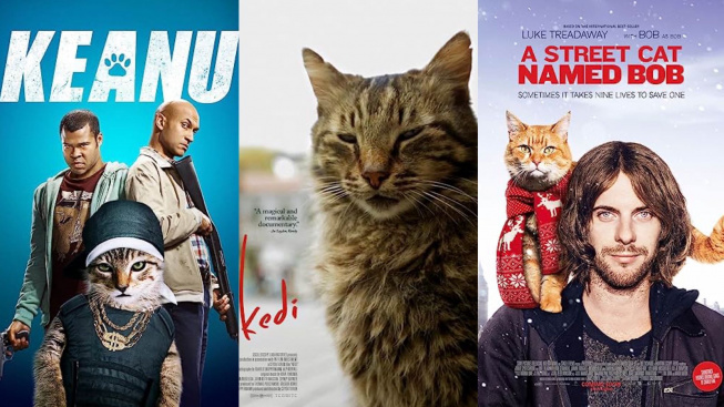 Pecinta Kucing? 7 Rekomendasi Film Ini Wajib Ditonton, Ada yang Diambil dari Kisah Nyata!