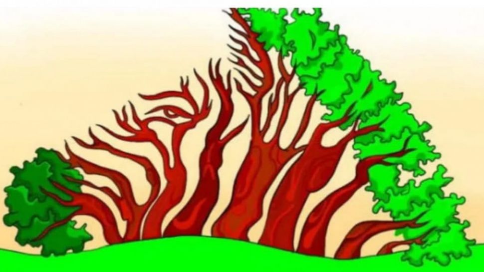 Tebak Gambar: Zebra atau Pohon? Ketahui Apakah Anda Orang yang Peduli