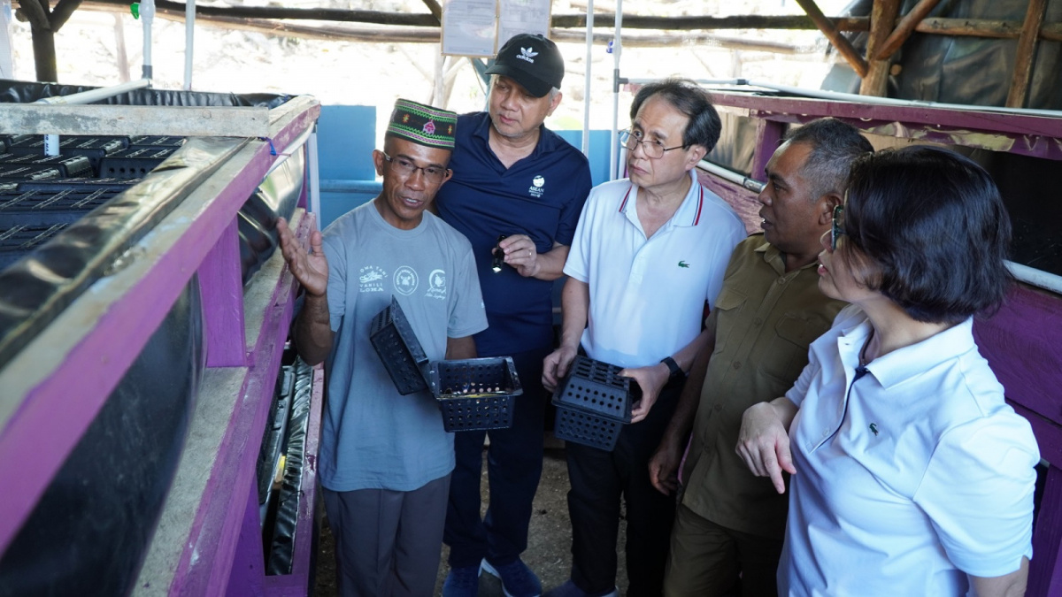 UMKM Kepiting Binaan YDBA Astra di Desa Golo Sepang, Manggarai Barat, NTT, Vinsensius Saur (kiri) saatmenjelaskan sistem budidaya kepiting Bakau metode crab box yang dijalankannya kepada Bupati Manggarai Barat,Edistasius Endi, S.E. (kedua kanan); Ketua Pengawas YDBA, Lina Djafar (kanan); Ketua PengurusYDBA, Sigit P. Kumala (tengah) dan Advisor YDBA, Tonny Sumartono (kedua kiri) [DOK]