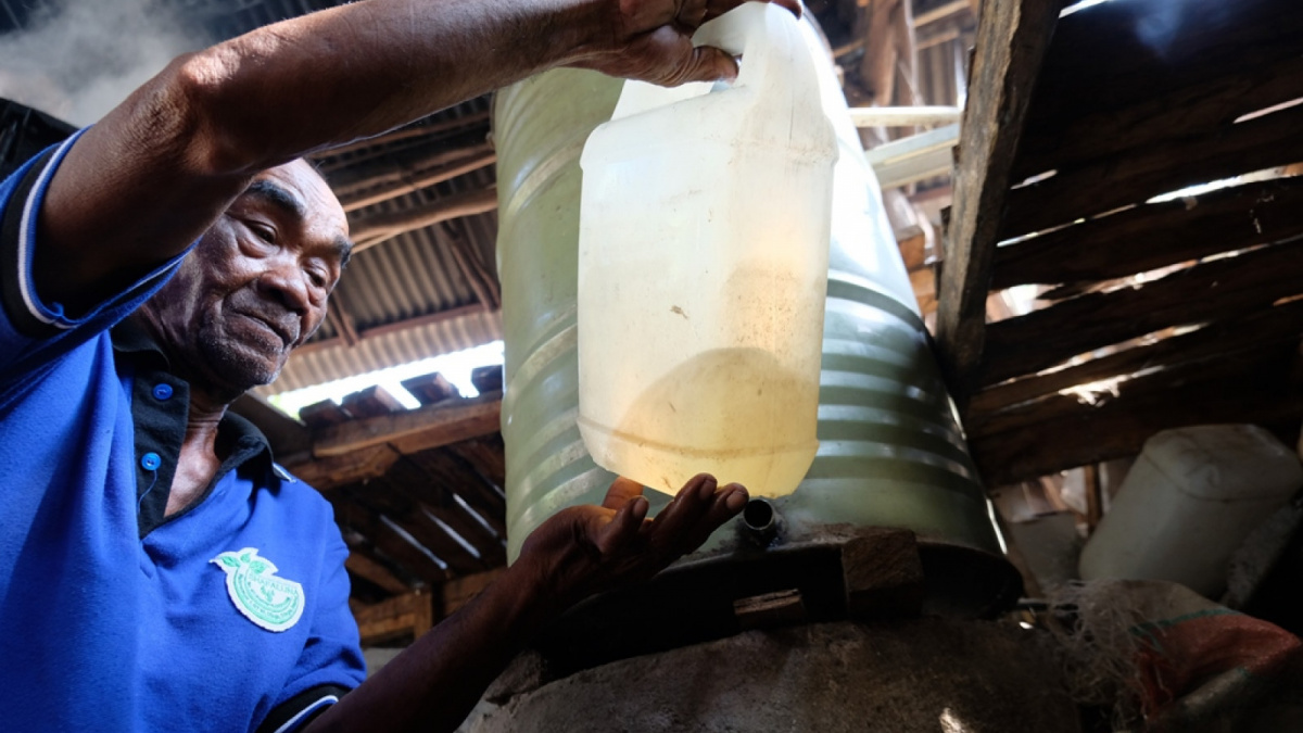 Minyak Astiri Serai Wangi dimasukkan ke dalam jerigen usai proses penyulingan dan penyaringan [Suara Semarang/Diaz Abidin]