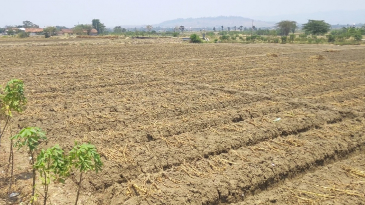 Kondisi lahan pertanian kering di sekitar embung Ringinarum Kendal. [Semarang.suara.com]