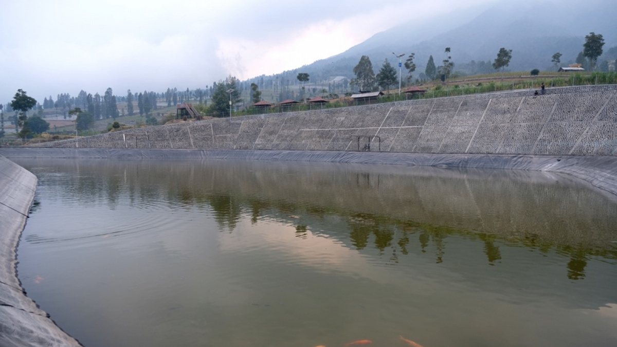 Sejumlah Ikan Mas berenang di tengah Embung Bansari [Suara Semarang/Diaz A Abidin]