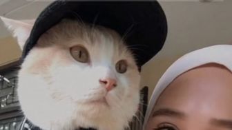 Pororo Si Kucing Viral TikTok Akhirnya Ketemu, Ekspresinya Bikin Netizen Nangis