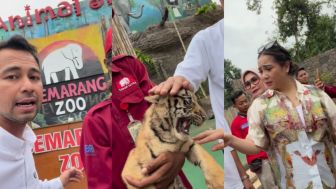 Rawrrr, Raffi Ahmad dan Gigi Ketemu Cipung Buas di Semarang Zoo, Gemes Atau Takut Harimau