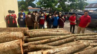 Kasus Pencurian Kayu di Waduk Jatibarang, Polrestabes Semarang Tangkap 15 Orang Pelaku