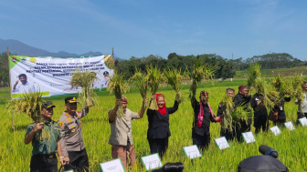 Mbak Ita dan Mentan Syahrul Limpo Panen Padi dengan Larutan Biosaka, 1 Hektar Hasilkan 6 Ton Gabah