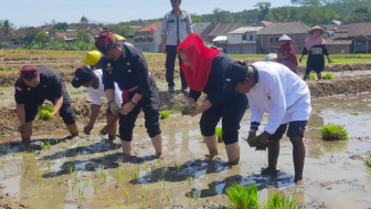 Kota Semarang Jadi Pilot Project Ketahanan Pangan Dampak El Nino Oleh Kementan, Mbak Ita Siapkan Lahan 1000 Hektar Sawah