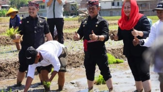 Mentan Syahrul Yasin Limpo Kagumi Kota Semarang Masih Punya Sawah Ribuan Hektar