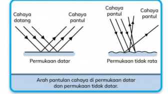 Soal Latihan IPAS Kelas 5 SD Bab 1 "Melihat karena Cahaya, Mendengar karena Bunyi" Kurikulum Merdeka