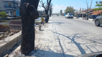 Sadis! Tumbal Proyek Pantura Semarang - Demak Dicor Hidup-hidup, Gersang di Sekitar Gerbang Tol