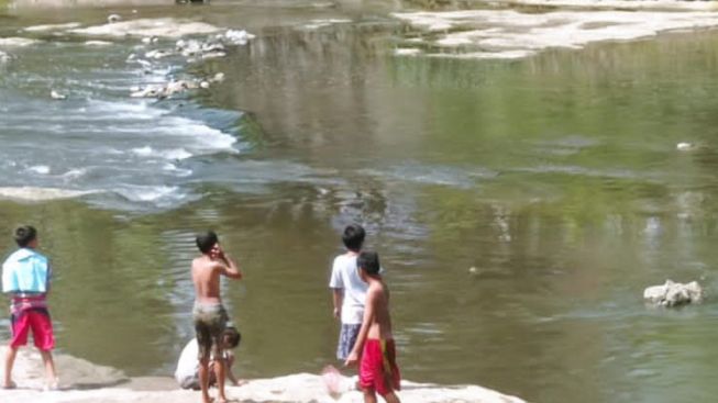 Terungkap, Setiap Hari Sungai Bengawan Solo Mengalir Darah dan Organ Tubuh Anjing dari Rumah Jagal Ilegal