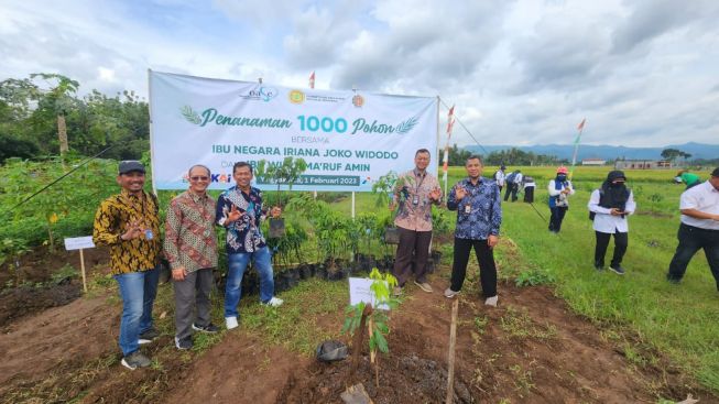 PGN Tanam 1000 Pohon Alpukat Rifai di Agrowisata Kulonprogo