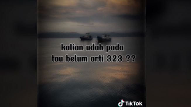 Arti Kode 323 Hari Valentine Viral TikTok, Ternyata Ini Artinya!