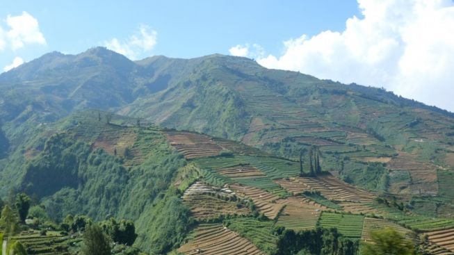 Dikira Bukit Belaka, Tak Disangka Gunung Purba Raksasa di Jawa Tengah Ini Potensi Meletus Kapan Saja