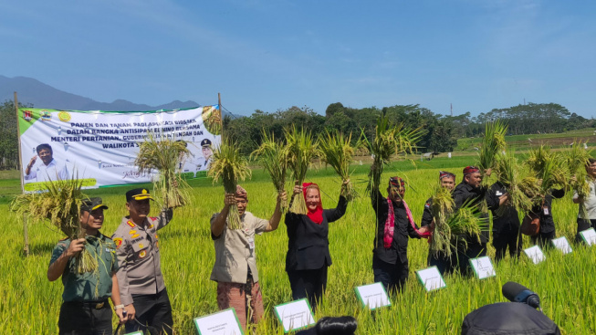 Mbak Ita dan Mentan Syahrul Limpo Panen Padi dengan Larutan Biosaka, 1 Hektar Hasilkan 6 Ton Gabah