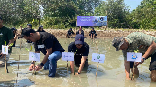 Amartha Gandeng Jejakin Tanam 1000 Mangrove di Pantai Morodemak, Komitmen Kurangi Emisi Karbon