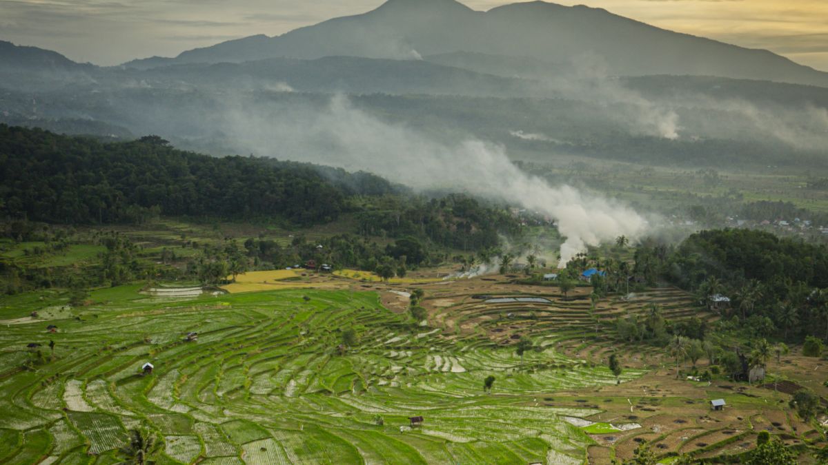 Lanskap area persawahan di Kabupaten Solok, Sumatera Barat. [SuaraSerang/Wawan Kurniawan]