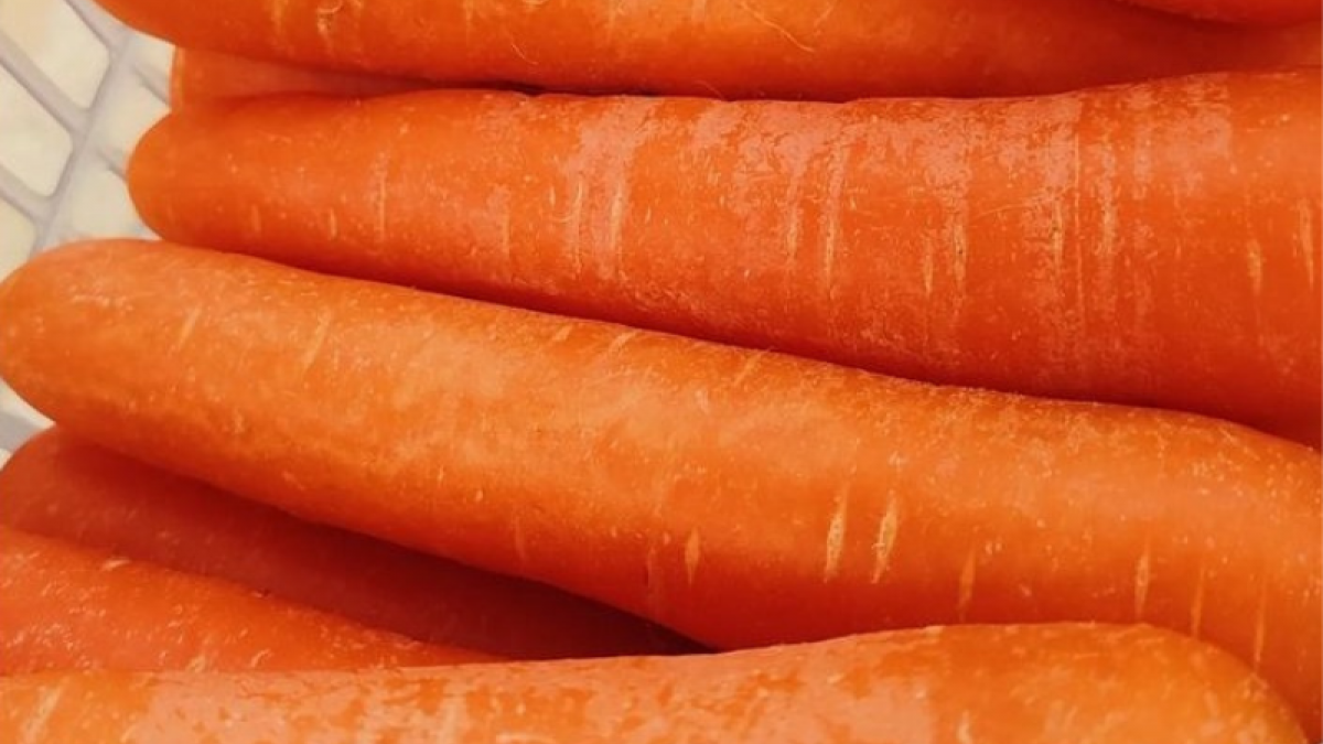 sayur wortel [Instagrma/duniasayuran]