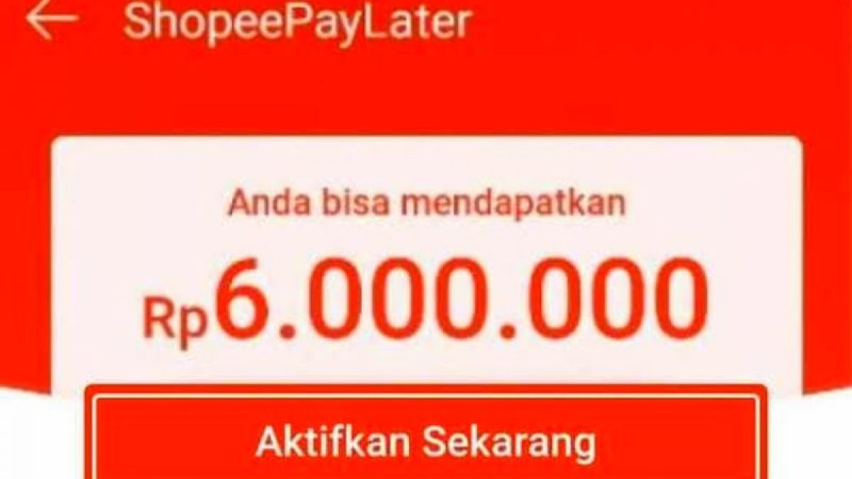 aplikasi shopee paylater