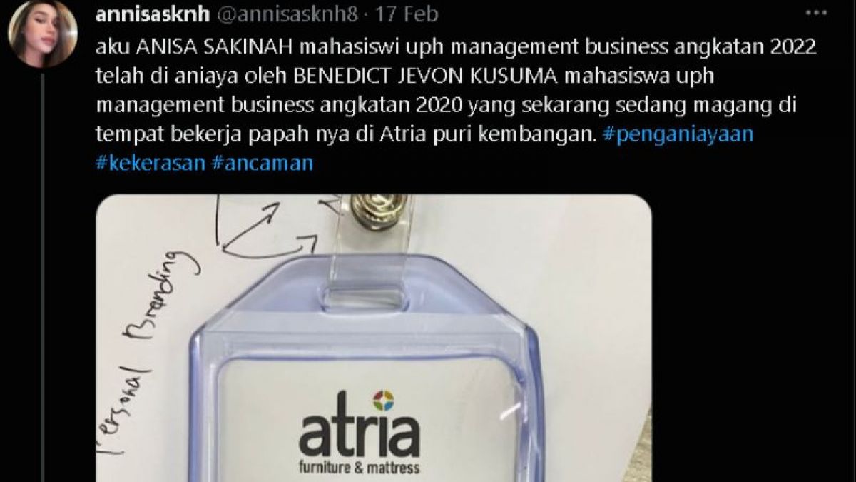 Cewek Ini Kena Aniaya Cowok Magang di Perusahaan Papanya Bekerja [Twitter/@annisasknh8]