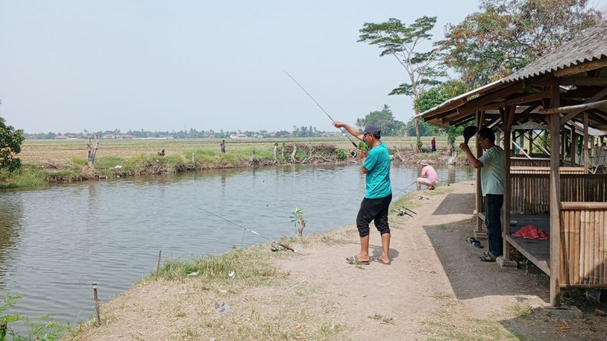 Aktivitas pemancingan di kolam pemancingan Chandra Kirana, Mauk, Kabupaten Tangerang, Kamis (1/2023). [Suara Serang/Wawan Kurniawan]