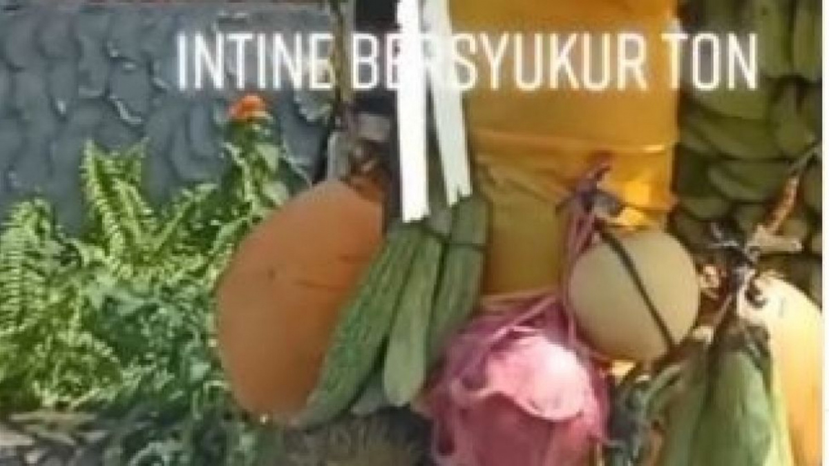 Penjor Galungan [Foto : Tangkap Layar TikTok @dekkuya]