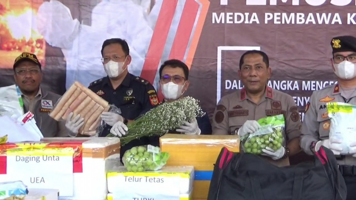 Balai Besar Karantina Pertanian Soekarno-Hatta melakukan pemusnahan terhadap puluhan ular piton dan komoditas hewan lainnya asal Amerika Serikat. [dok. Balai Besar Karantina Pertanian Bandara Soetta/Suara Serang]