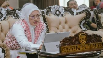 HUMMM! Bupati Purwakarta Anne Ratna Mustika Calon Janda Ternyata Miliki Harta Kekayaan yang Amazing