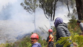 Kawasan Wisata Gunung Bromo Ditutup Akibat Kebakaran di Bukit Teletubies
