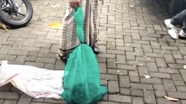Dua orang Pemotor Teror Rumah Mantan Gubernur Banten Wahidin Halim dengan Puluhan Ular