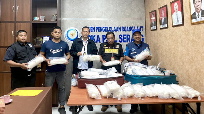 Polisi Gagalkan Penyelundupan Bibit Lobster Senilai Rp11,4 Miliar ke Singapura