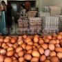 Harga Telur Naik di Gunungsitoli dan Kota Serang