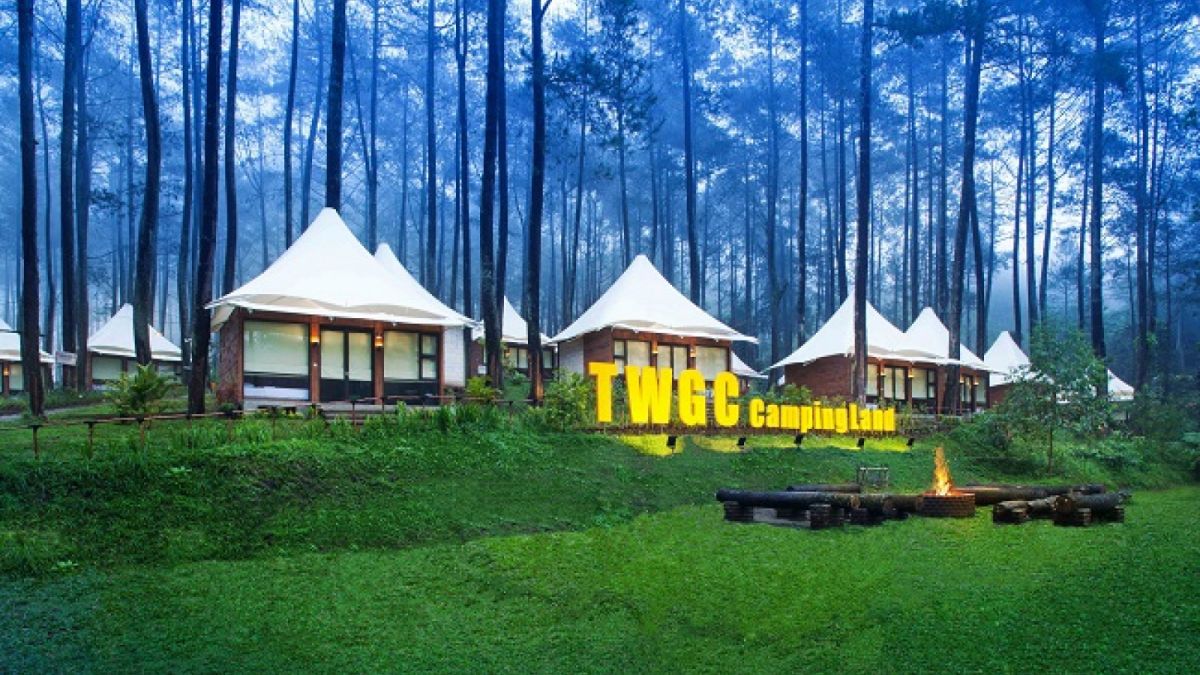 Wisata Hutan Pinus Grafika Cikole [grafikacikole.com]