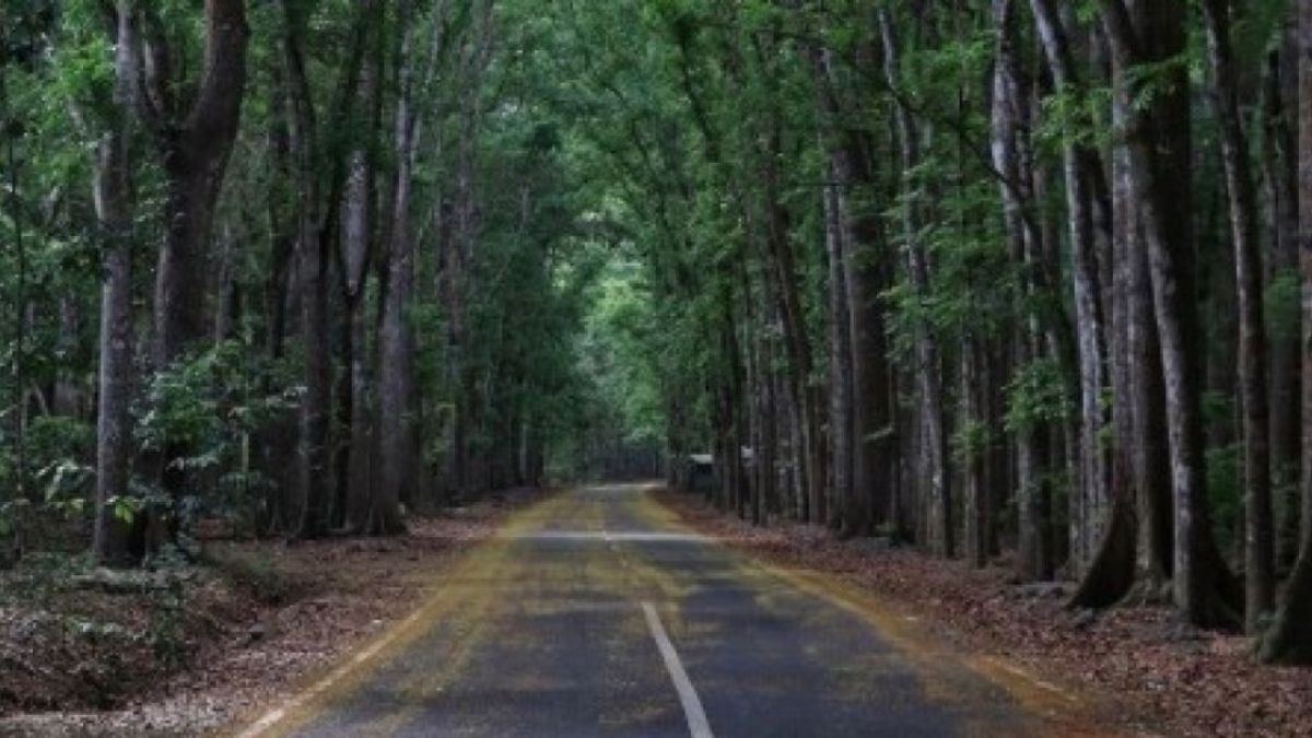 tnalaspurwo [suara.com]