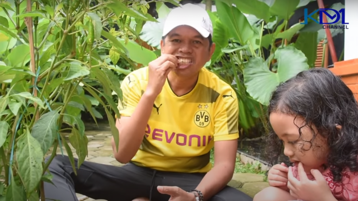 Dedi Mulyadi bantah lakukan KDRT psikis pada Ambu Anne [Youtube/Kang Dedi Mulyadi Channel]