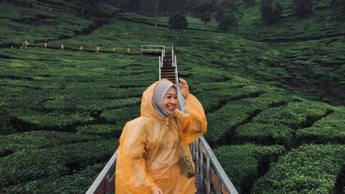 Panorama Kebun Teh Rancabali [(Instagram/ninatrisuci)]