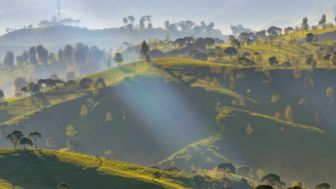 Butuh Healing? Ini 5 Rekomendasi Tempat Wisata Bandung yang Wajib Dikunjungi