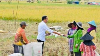 Harga Gabah Rp6 Ribu, Presiden Jokowi Pergi ke Sawah dan Dengarkan Curhatan Petani