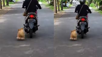 SADIS! Anjing Diseret Pakai Motor hingga Terluka Berdarah