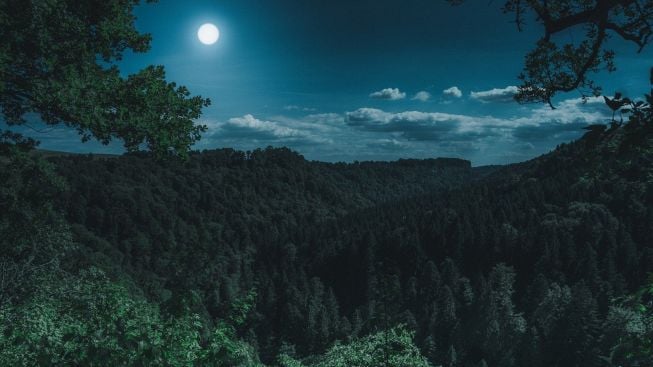 Kisah Horor Nyata, Nekat Mendaki Sendirian Lewat Jalur Pasar Setan Candi Ceto di Gunung Lawu