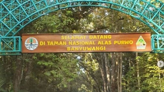 Alas Purwo, Tempat Manusia Pindah ke Dimensi Lain