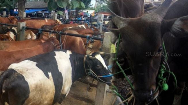 Mau Nyate tapi Bau? 3 Trik Ini Wajib Kamu Cobain Hilangkan Semilir Daging di Rumah Kamu