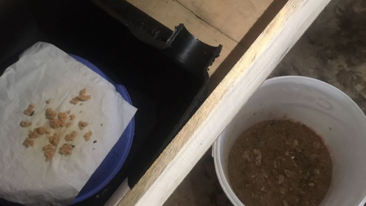 Pembuatan Eco Enzyme [SMAN 1 Ciawi]