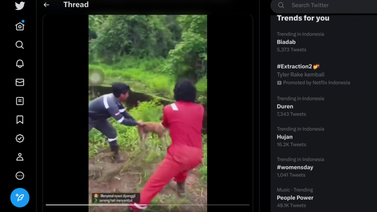 Screenshot Pelemparan Anjing ke Buaya [IG Zoelfick]