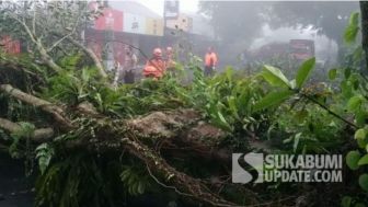 Pohon Tumbang di Jalan Suryakencana Sukabumi, Akses Jalan Tertutup