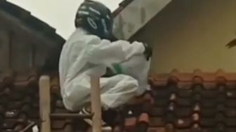 Niat Berbuat Baik Malah Disengat Lebah Duluan