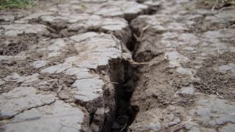 Terasa Hingga Jakarta, Ini Cuitan Warganet Saat Merasa Guncangan Gempa Banten