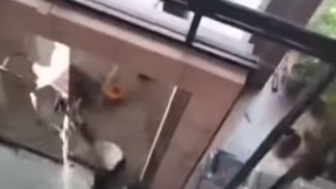 Heboh! Penyerangan Rumah Lathi Brent Mantan Anggota DPD RI Hingga Lempari Batu