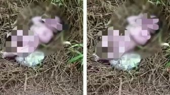 Penemuan Bayi Baru Lahir di Semak-Semak oleh Warga, Warganet: Contoh Orang Tua Durhaka Kepada Anaknya